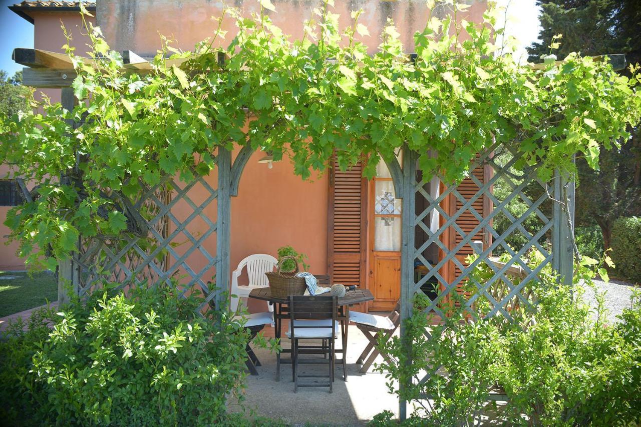 Agriturismo Le Cerbonche Rosignano Marittimo Bagian luar foto