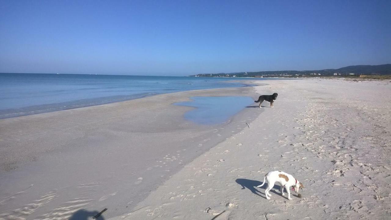 Agriturismo Le Cerbonche Rosignano Marittimo Bagian luar foto