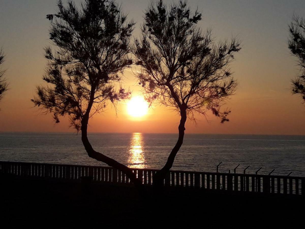 Agriturismo Le Cerbonche Rosignano Marittimo Bagian luar foto